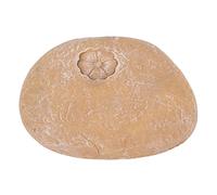 AMONIDA Pet Memorial Garden Stone Weatherproof for Inscription in Backyard Resin 1 Unit (Small Flower Stone Sand Yellow)