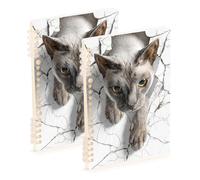 Amooorous A5 size Burmese 3d Cat orange spiral notebook 8.3" x 5.7", wire-bound subject spiral notebook college 60 sheets for school&office 2 pack