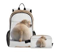 Amooorous Backpack With Lunch Box Boys The Chubby Labrador 10-12 | Book Bags For Boys With Lunch Bag