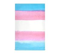 Amooorous Peach Blue Rainbow LGBT Pride Month Parade Transgender Flag Kitchen Tea Towel Microfiber Towel Hand Terry Cloth Dish Towel Kitchen Hand Towels Pattern Soft Dry Bathroom 28x18in Set of 4