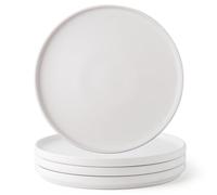 AmorArc Stoneware Dinner Salad Plates Set of 4, 8.5 Inch Ceramic Plates | Reactive Glaze Modern Plates for Dessert, Salad, Appetizer,Dinner, Microwave, Dishwasher Safe,Scratch Resistant Matte White