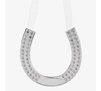 Amore Silver Plated Wedding Horse Shoe Gift WG539