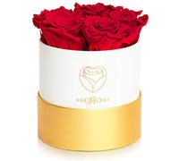 Amoroses Petite - Gift Box with 5 Eternal Stabilised Roses - An elegant Bouquet of Real Flowers | Gift Idea (Petite White Box with Red Roses)
