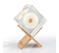 Amoroses WISH Real Dandelion Preserved in Clear Resin Cube - Flower Shower Head in Elegant Packaging - Original Gift Idea, Decorative Item - Make a Wish