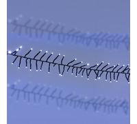 Amos 240 Led White Christmas Cluster Lights With Memory Function Timer