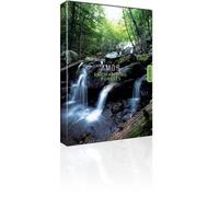 AMOS TV: Enchanting Forests