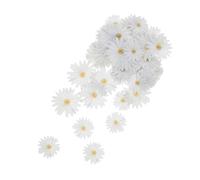 Amosfun 1 Box Daisy Flower Cupcake Toppers Paper Floral Cake Decorations for Spring Weddings Birthdays Showers Party Supplies Elegant Picks
