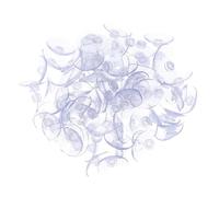 Amosfun 200pcs Suction Cups Sucker Pads Slip Collision Glass Table Hooks for Hanging Kitchen Tools Window Decorations Home Office Use