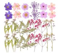 Amosfun 27pcs Decorative Real Dried Flowers Set for DIY Crafts Scrapbooking Nail Art Wedding Home Decor Pressed Floral Materials for Greeting Cards Phone Cases and Resin Jewelry