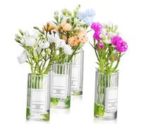 Amosfun 4 Pcs Miniature Plastic Vases Realistic Tiny House Decor for Dollhouse Mini Potted Plants Photo Props Compact Botanical Style Table Decorations Random Color