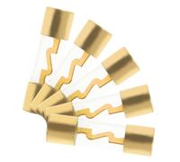 Amosfun 5pcs Agu Inline Amp Fuses Glass Auto Fuse Car Accessories for Audio Modification Reliable Easy Installation