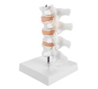 Amosfun 6.3 Inch Mini Human Spine Model for Educational Anatomy Visualization and Clinical Education Tool, Made of Sturdy Pvc with Stand, for Student Learning and Rehabilitation Settings