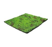 Amosfun Artificial Moss Mat Faux Grass Turf for Indoor Plants and Garden Decor Low Maintenance Fake Moss Pad for Micro Landscape Balcony Courtyard Water Features Easy to Apply