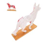 Amosfun Canine Acupuncture Model Detailed Anatomy Medical Teaching Tool for Veterinary Students and Professionals Chinese Medicine Training Display for Easy Learning and Expert Study