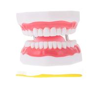 Amosfun Educational Tooth Model Plaything with Toothbrush Enlarged Demonstration for Brushing Guidance Safe High-grade Material Hand-eye Coordination Aid for Boys