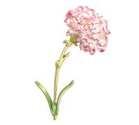 Amosfun Enamel Lapel Pin Badge Decorative Breast Pin Carnation Corsage Clothing Accessories,Pink,7,4 X4X 0,5 cm