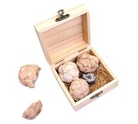 Amosfun Gem Dig Kit for Boys and Girls Educational Rock Collection Set Crystals and Minerals DIY Geology Adventure for Children and Adults