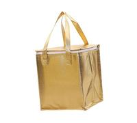 Amosfun Multi Function Insulated Food Bag Double Cake Pizza Packaging Pouch for Take Out Lightweight Thermal Storage for Home Outdoor Use