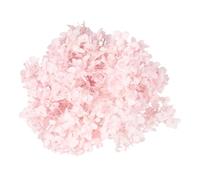 Amosfun Natural Preserved Hydrangea Petals 1 Pack 20g Light Pink Dried Flowers for DIY Nail Art Supplies Wedding Party Ornaments