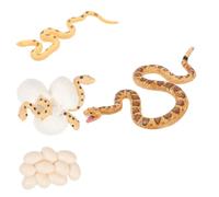 Amosfun PVC Educational Snake Realistic Life Cycle Figurines for Cognitive Development Early Learning Reptile Models Safe Lightweight Gift
