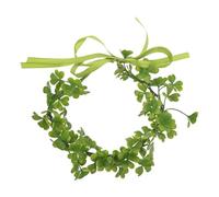 Amosfun Shamrock Headband for Women Green Clover Crown Hairband Saint Patrick’s Day Accessories ’ Floral Leaf Garland Headpiece