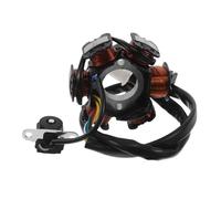 Amosfun Six-pole Motorcycle Stator Replacement Coil for Chinese Scooters and Atvs Copper Ignition Stator for Engines Enhanced Charging Efficiency and Power Output for Daily Commuting and