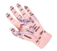 Amosfun Tcm Hand Reflexology Model for Medical Training Human Hand Acupuncture Display with Detailed Reflex Zones for Therapy and Learning