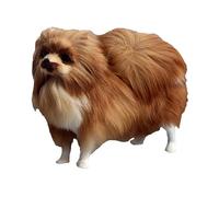 Amosfun Vivid Pomeranian Dog Model Decor Educational Animal Figurine for Home Dorm Teaching Imaginative Play and Realistic Pet Ornament
