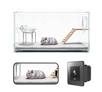 Amouu 2K HD Small Pet Camera for Hamsters, Gerbils, Fancy Mice & Guinea Pigs, 140° Wide-Angle Night Vision, Anti-Glare WiFi Cage Camera with Two-Way Audio, AI Motion Alerts & Easy Stick-On Install