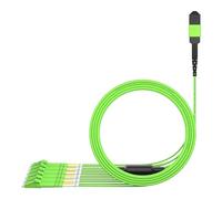 AMPCOM MPO to LC Breakout Cable 50/125μm Multimode OM5 (12 Fiber, MPO to LC, Type B, LSZH/Riser, UPC, Magenta) 1m (3ft)