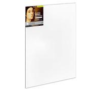 Ampersand Art Supply Wood Gesso Artist Painting Panel: Primed Smooth, 18"x24", 1/8 Inch Depth