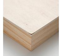 Ampersand : Artist Panel : Unprimed Basswood Panel : Cradled 38mm : 11x14in