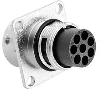 AMPHENOL rt0012 - 8pnh - Electrical Standard Connectors