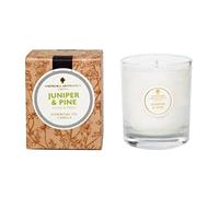 Amphora Aromatics Juniper & Pine 40hr Pot Candle. Clean & Fresh.