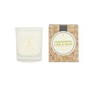 Amphora Aromatics Mandarin, Lime & Basil - 40hr Pot Candle.