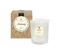 Amphora Aromatics Nutmeg Mini Pot Candles NEW Single