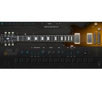 Ample Sound Ample Guitar LP