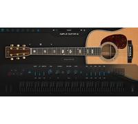 Ample Sound Ample Guitar M