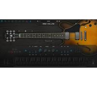 Ample Sound Ample Guitar Semi Hollow