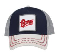 Amplified David Bowie Trucker Cap / One Size Grey/Black GD2995