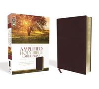 Amplified Holy Bible, Large Print, Bonded Leather, Burgundy : Captures the Full Meaning Behind the Original Greek and Hebrew