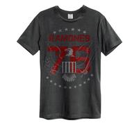 Amplified Men's 1976 Ramones T-Shirt in Charcoal | Size: Large Amplified Charcoal L