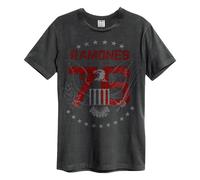 Amplified Men's 1976 Ramones T-Shirt in Charcoal | Size: XS Amplified Charcoal XS