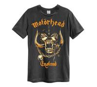 Amplified Men's Bronze England Motorhead T-Shirt in Charcoal | Size: Large Amplified Charcoal L