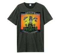 Amplified Men's Ixnay On The Hombre Offspring T-Shirt in Charcoal | Size: Medium Amplified Charcoal M
