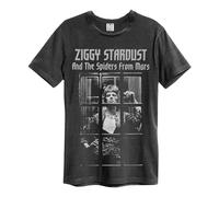 Amplified The Rise and Fall David Bowie T-Shirt 3XL Charcoal