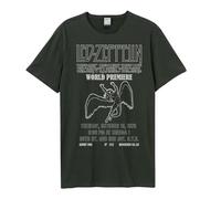 Amplified Unisex Adult The Song Remains The Same Led Zeppelin T-Shirt (XXL) (Charcoal)