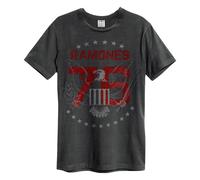 Amplified Unisex Adult 1976 Ramones T-Shirt GD1523