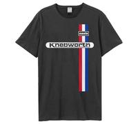 Amplified Unisex Adult Knebworth Oasis T-Shirt (L) (Charcoal)