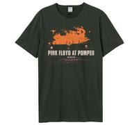 Amplified Unisex Adult Pompeii Sunset Pink Floyd T-Shirt GD3292